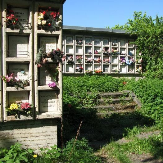 Морги и патологоанатомические отделения